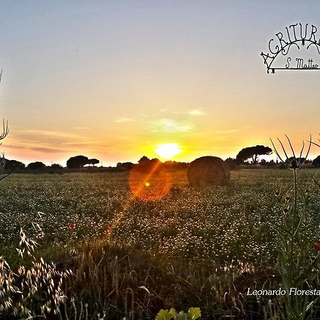 Agriturismo San Matteo Tarquinia Bagian luar foto