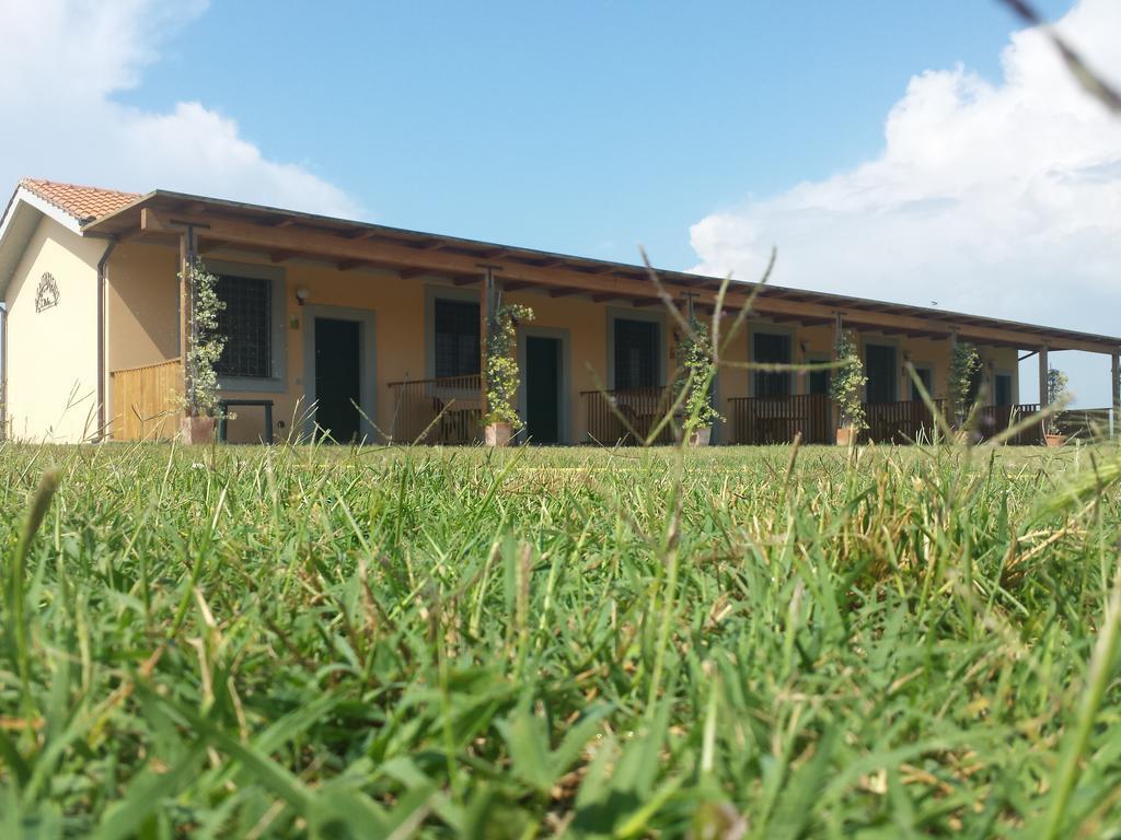 Agriturismo San Matteo Tarquinia Ruang foto