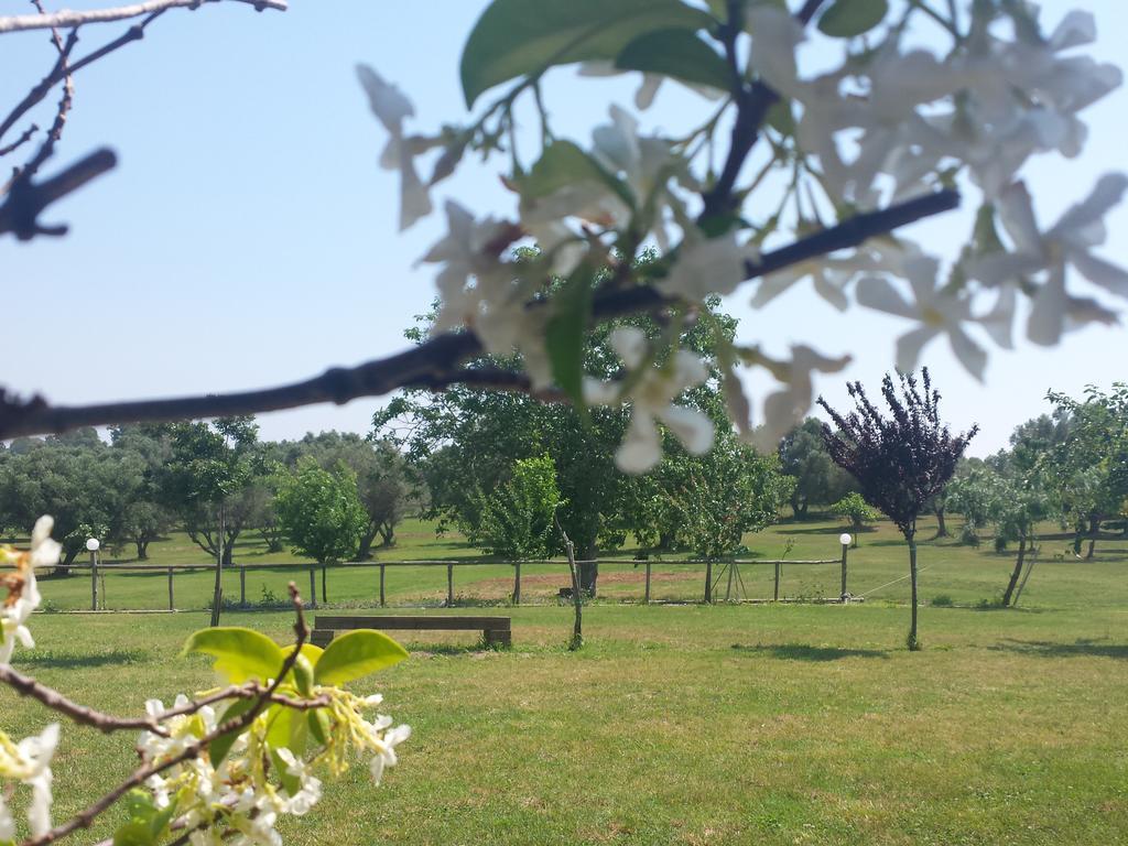 Agriturismo San Matteo Tarquinia Ruang foto