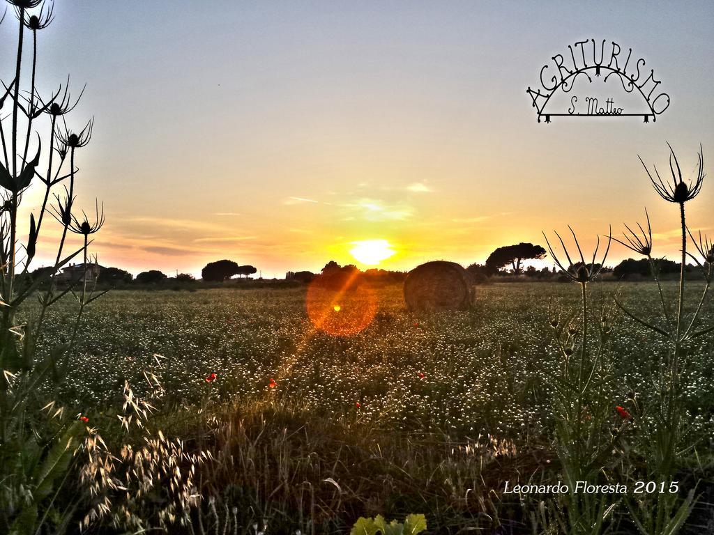 Agriturismo San Matteo Tarquinia Bagian luar foto