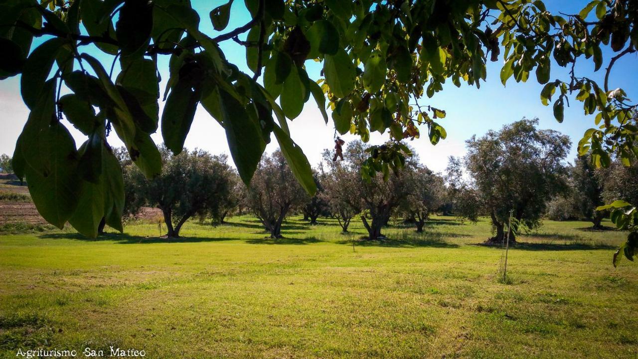 Agriturismo San Matteo Tarquinia Bagian luar foto