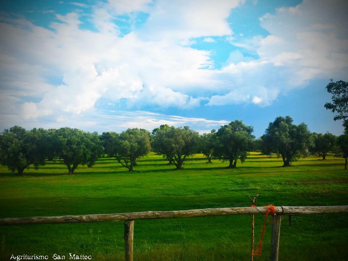Agriturismo San Matteo Tarquinia Bagian luar foto