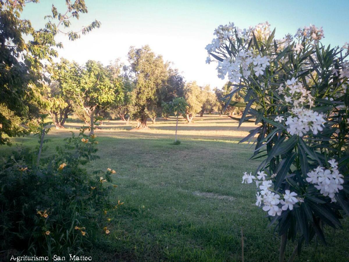 Agriturismo San Matteo Tarquinia Bagian luar foto