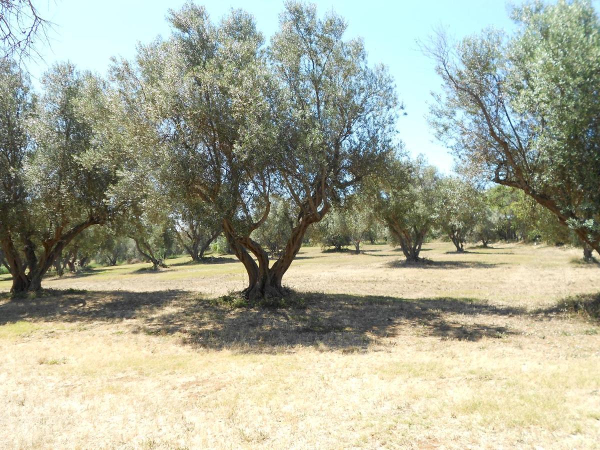 Agriturismo San Matteo Tarquinia Bagian luar foto
