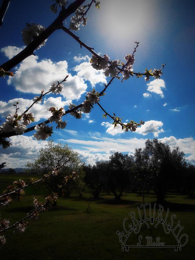 Agriturismo San Matteo Tarquinia Bagian luar foto