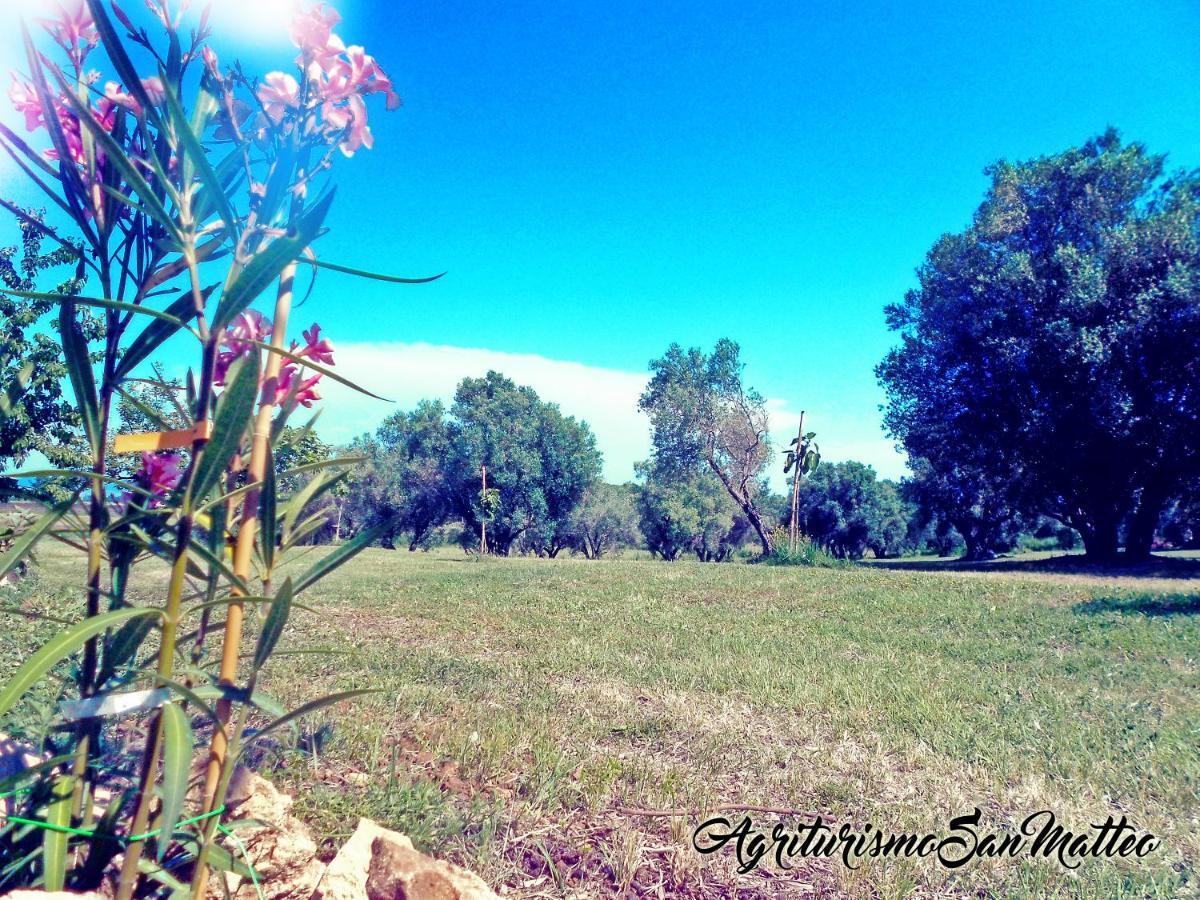 Agriturismo San Matteo Tarquinia Bagian luar foto