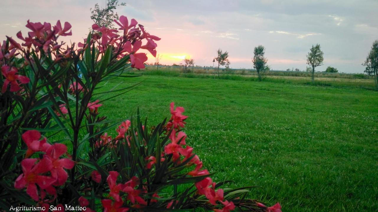 Agriturismo San Matteo Tarquinia Bagian luar foto